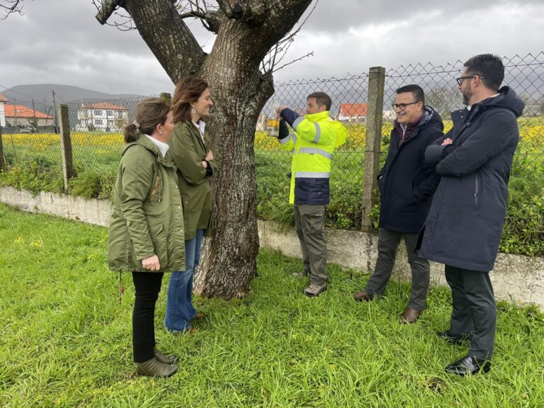 La Xunta continúa con el trampeo para frenar la expansión de velutinas, esta semana por las provincias de Lugo y Ourense