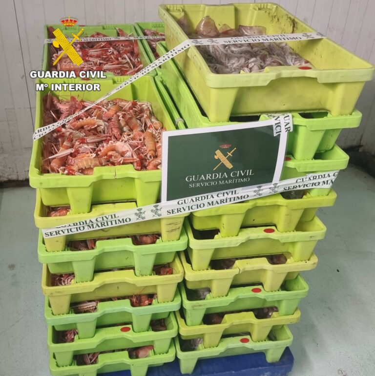 Intervienen en A Coruña 145 kilos de cigala capturados en zona prohibida