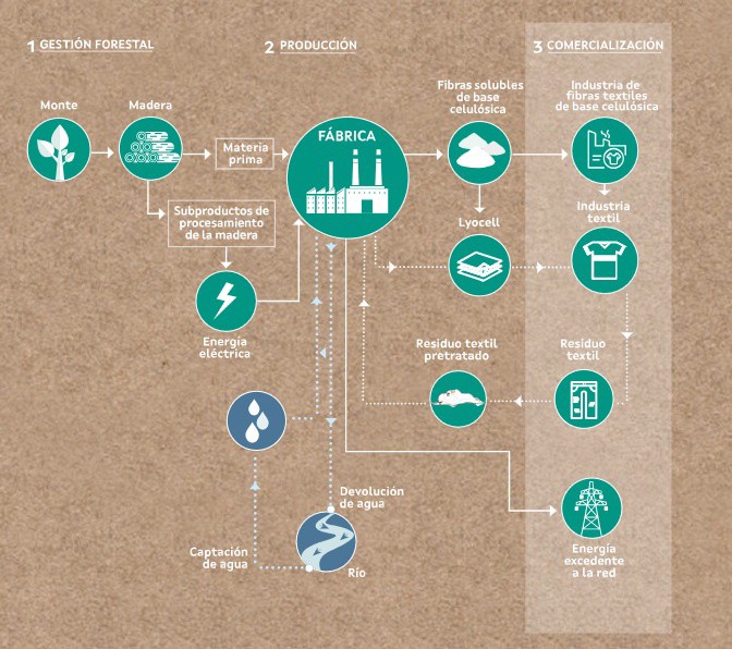Greenfiber lanza una web de la fábrica de Altri en la que niega ser una celulosa para papel