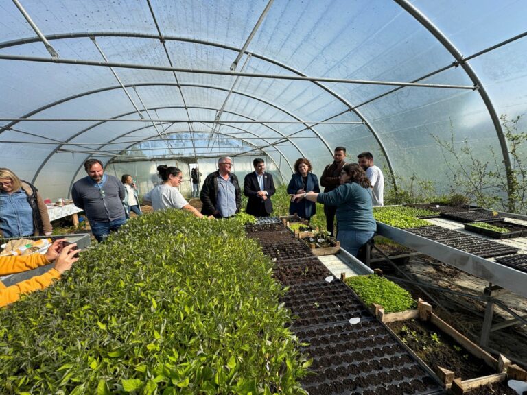 Rural.- El delegado del Gobierno reivindica el apoyo estatal al sector primario, con ayudas a 21.000 personas