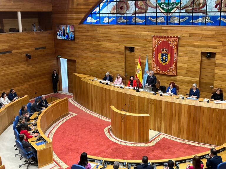 (AM)Pleno.- Santalices reivindica la «vía gallega» de la «cordura» y apela a blindar la cámara de «convulsiones» ajenas