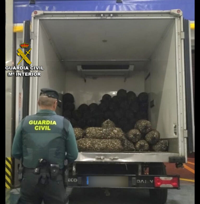 Intervenido en O Grove un camión portugués con 1.674 kilos de almeja japónica sin documentación