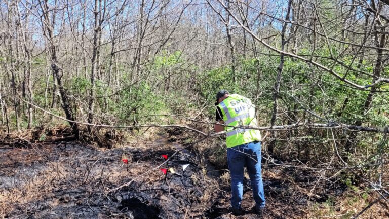 Identifican al presunto autor de varios incendios durante el mes de abril en Calvos de Randín (Ourense)