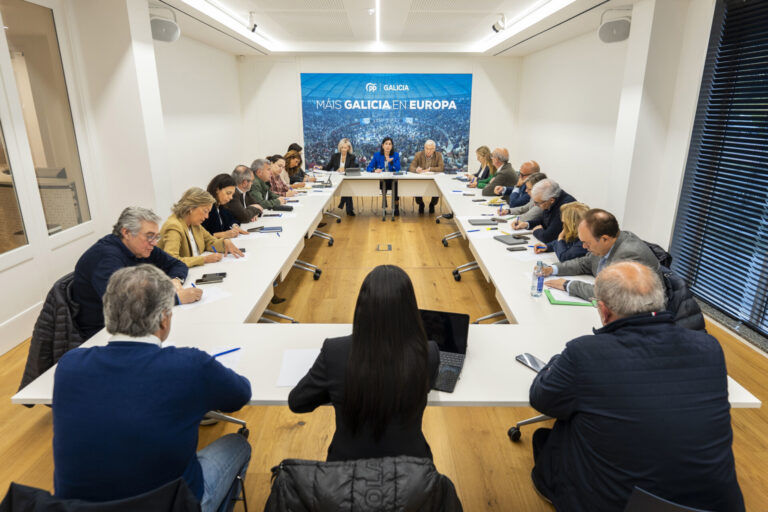 El PPdeG reivindica la labor de sus diputados y senadores como «contrapeso» a los «ataques» del Gobierno a Galicia