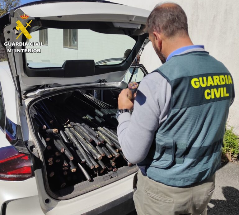 Diez detenidos por 13 robos, estragos y pertenencia a grupo criminal en varios municipios de A Coruña