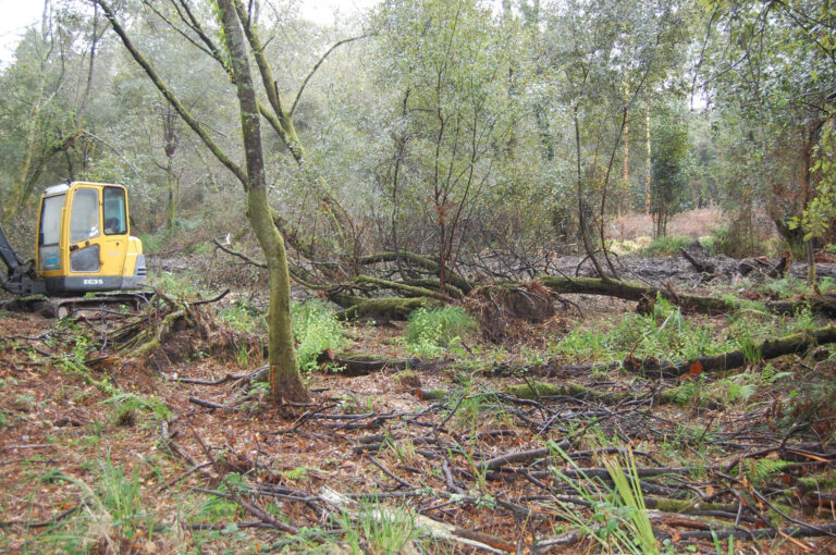 Multa de 98.500 euros a la Comunidad de Montes de Cabral (Vigo) por unas obras en el nacimiento del río Lagares