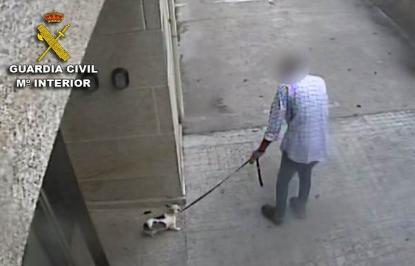 Acepta 12 meses de prisión por matar a su perra en Baiona arrojándola contra el suelo y dándole una patada