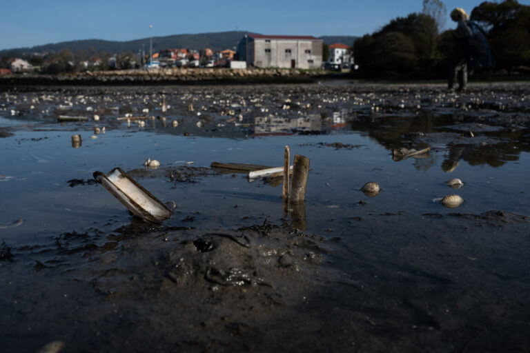 El Gobierno rechaza que se cumpliesen los requisitos para declarar zona catastrófica por la muerte de bivalvos