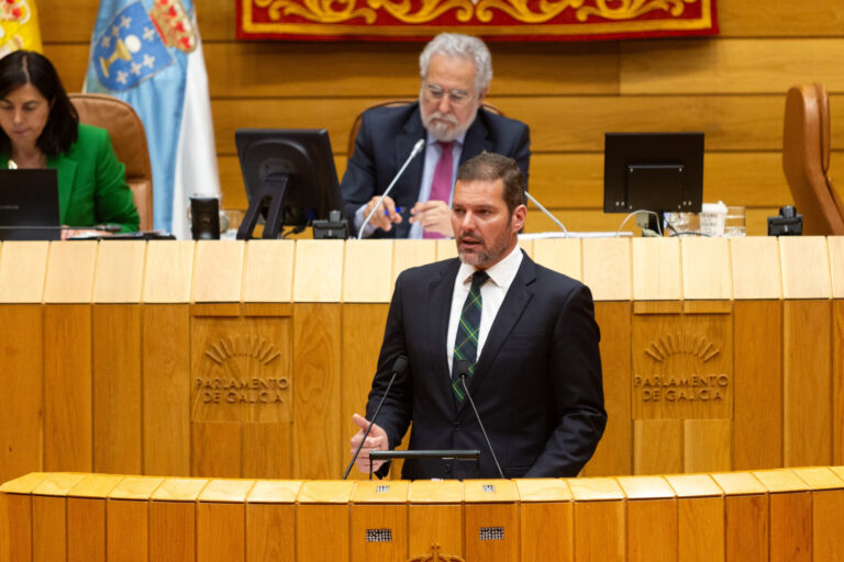 José López ofrece a los grupos un «gran pacto» por la lengua y anuncia la tramitación de varias leyes culturales