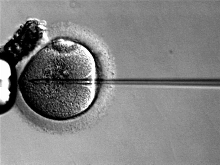Expertos en reproducción asistida apelan a un pacto nacional para abordar el problema de la natalidad