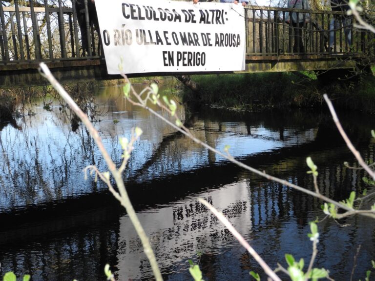 Palas (Lugo) acoge este domingo una manifestación que busca «hacer historia» en contra de la fábrica de Altri