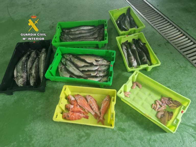 Pesca.-Incautados casi 60 kilos de productos pesqueros descargados irregularmente en el puerto de Corme (A Coruña)