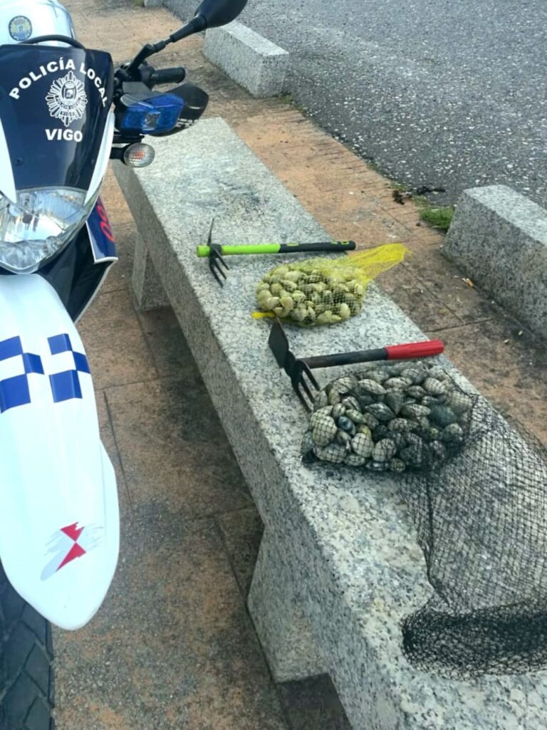 Identificadas dos personas en Vigo por extraer ilegalmente 5 kilos de almejas en una playa de Teis