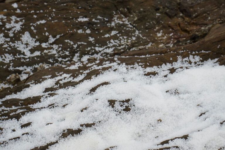 Las Banderas Negras de Ecoloxistas en Acción apuntan a Xunta y macroindustria por la contaminación en el litoral