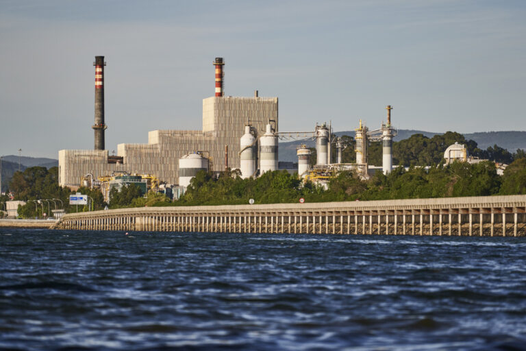 Ence defiende que el banco marisquero de Os Placeres «evidencia la calidad ambiental» de su fábrica en Lourizán