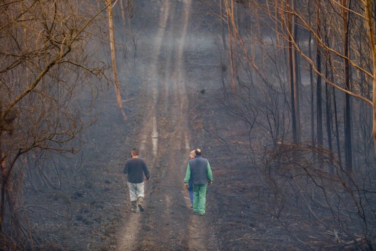 La Xunta fija el periodo de alto riesgo de incendios del 1 de julio al 30 de septiembre