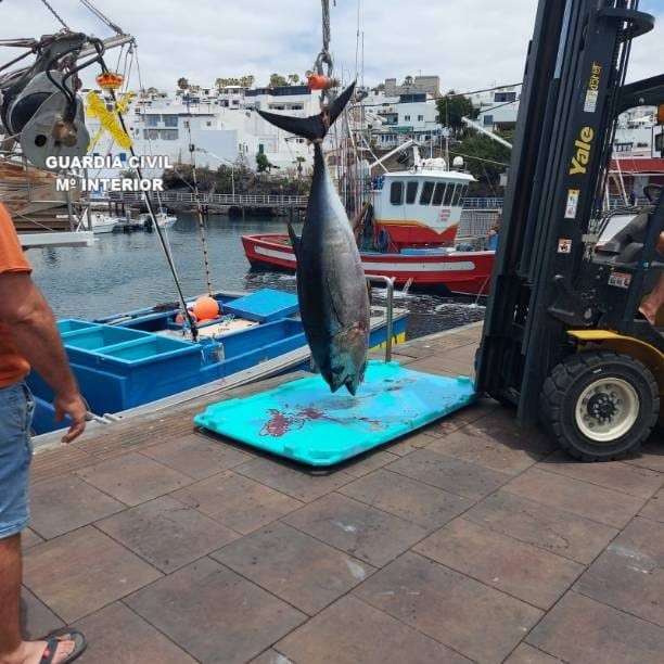 Pesca España pide aumentar el control sobre la pesca procedente de terceros países para garantizar que sea legal