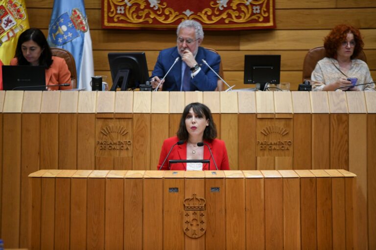 Pleno.- La ley de recursos naturales supera el primer trámite con críticas de «feudalismo» a la Xunta por la oposición