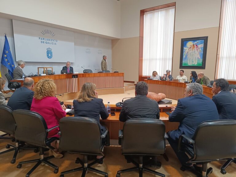 Constituida la comisión parlamentaria que analizará la modificación de la letra del himno gallego
