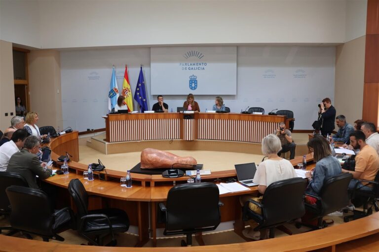 Unanimidad en el Parlamento para solicitar al Estado que entre en el consejo de administración de Navantia