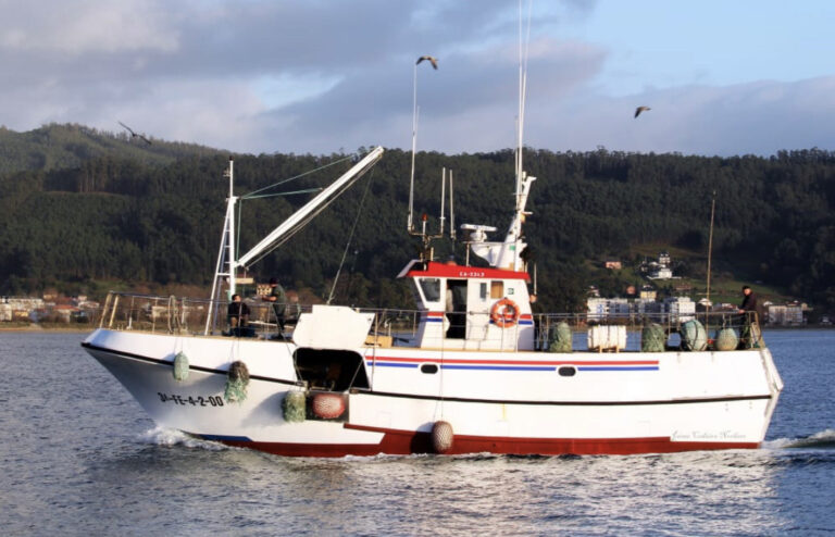 Publicadas las bases reguladoras de las ayudas del Perte para la industria pesquera y acuícola