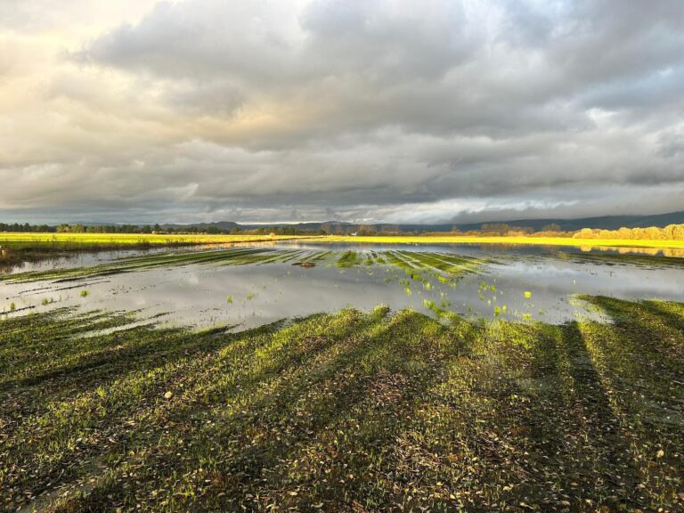 Galicia declaró 854 hectáreas agrícolas como siniestradas este año por fenómenos tormentosos, 291 en un solo día