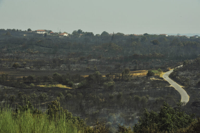 Los municipios ourensanos de Oímbra, Monterrei y Cualedro están en riesgo extremo de incendio este martes