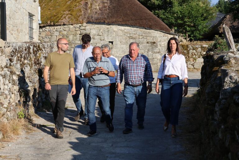 Rural.- El PSdeG exige a la Xunta que garantice las ayudas a productores de ternera gallega y critica su pago tardío