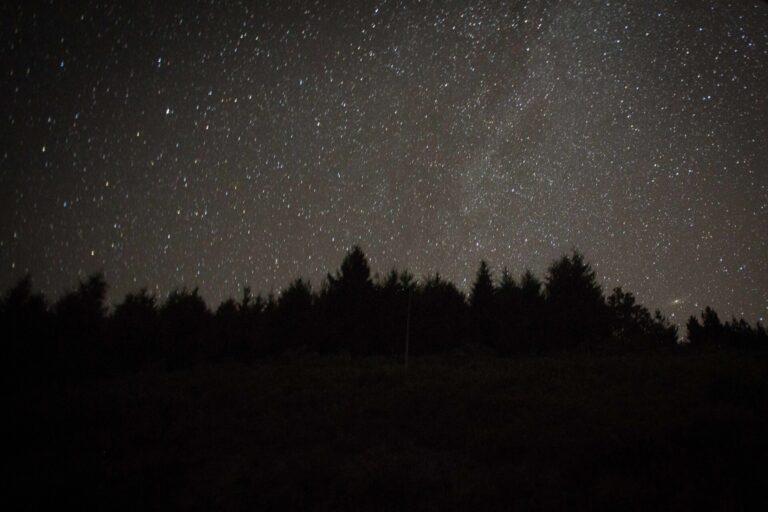 Las Perseidas alcanzarán máxima actividad este domingo
