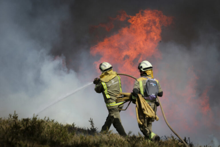 El noroeste concentra un tercio de la superficie quemada en incendios en lo que va de año, que baja un 52,6%