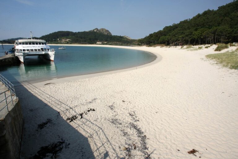 El gavión atlántico duplica su población en el parque nacional de las Islas Atlánticas