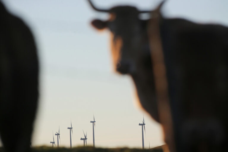 Galicia es la cuarta comunidad con mayor superávit entre la energía que produce y la que consume, según Unieléctrica