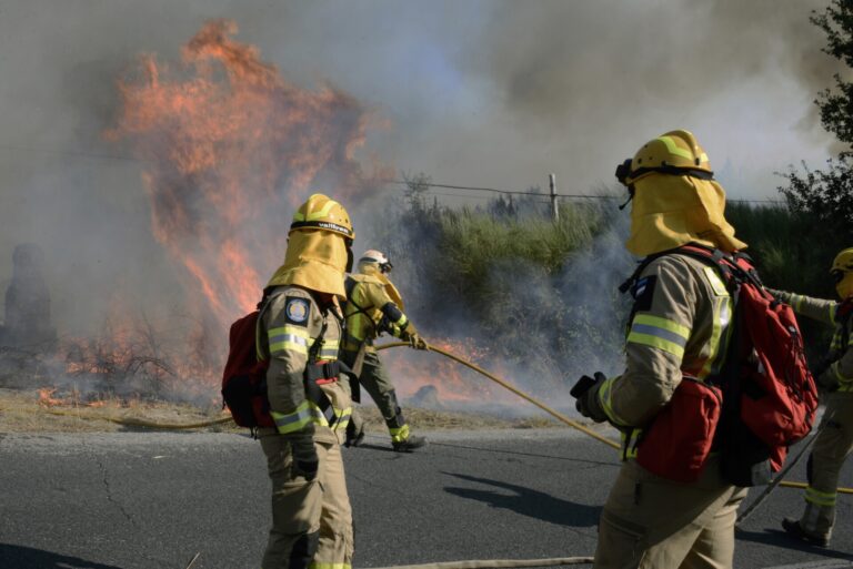 Afectadas 40 hectáreas en el incendio de San Cristovo de Cea (Ourense), que evoluciona hacia su estabilización