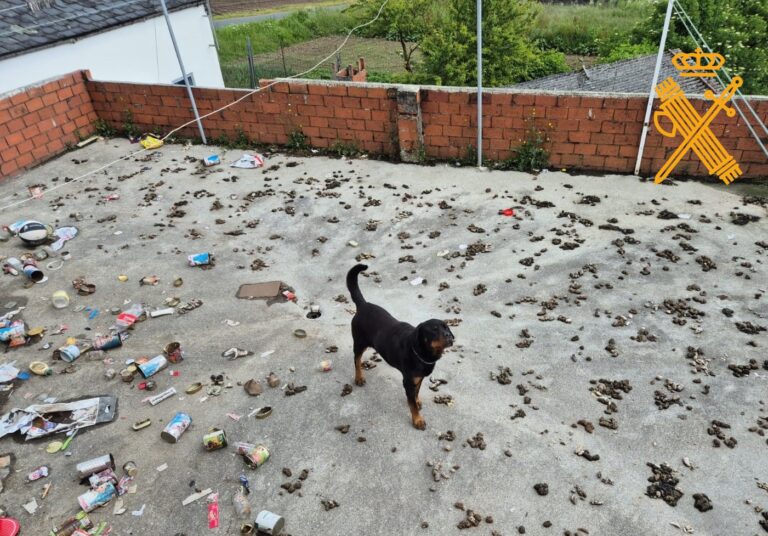 Investigan a un vecino de Lugo por abandonar a su perro en una terraza de una vivienda sin comida ni bebida