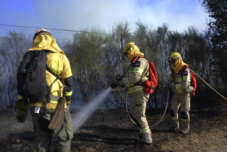 Rural.- Extinguido el incendio forestal de San Cristovo de Cea y controlado el de San Cibrao (Ourense)