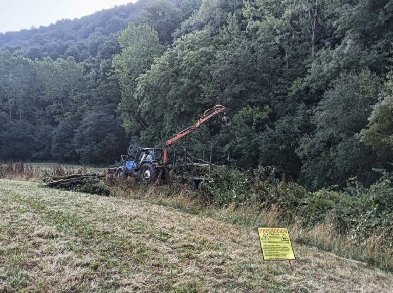 La Confederación Hidrográfica del Cantábrico finaliza los trabajos de mantenimiento del cauce del Narón en Becerreá