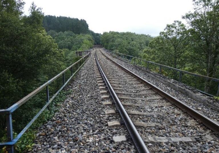 El PP reclama en el Congreso una fecha para retomar la circulación de trenes entre Ourense y Monforte (Lugo)