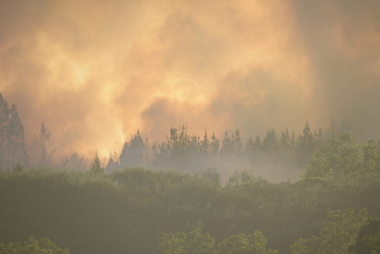 Activo un incendio forestal en San Cristovo de Cea (Ourense) que afecta a unas 20 hectáreas