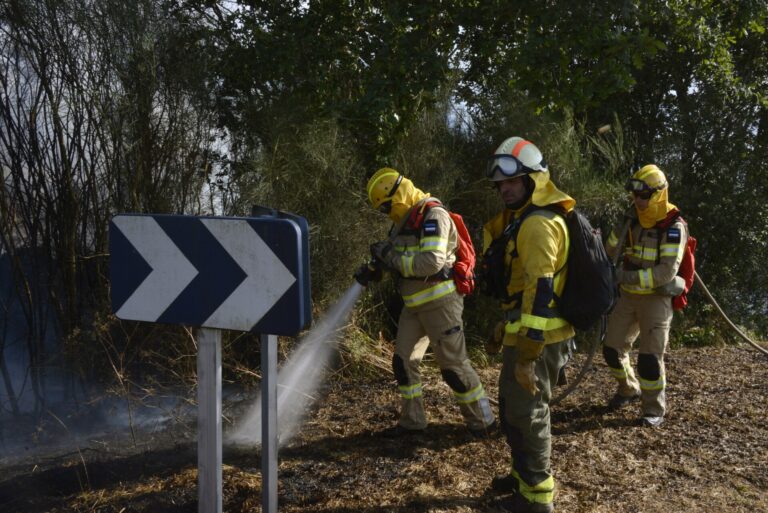 Controlado el incendio forestal de San Cristovo de Cea (Ourense), con 30 hectáreas afectadas