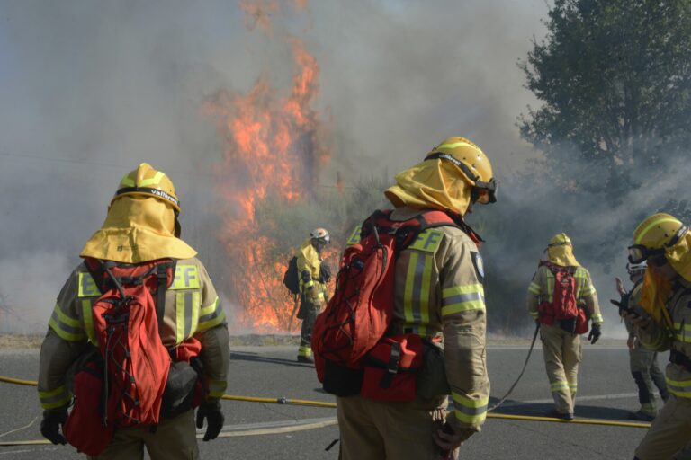 Rural.- Extinguido el incendio forestal de San Cristovo de Cea (Ourense), que calcinó 31 hectáreas