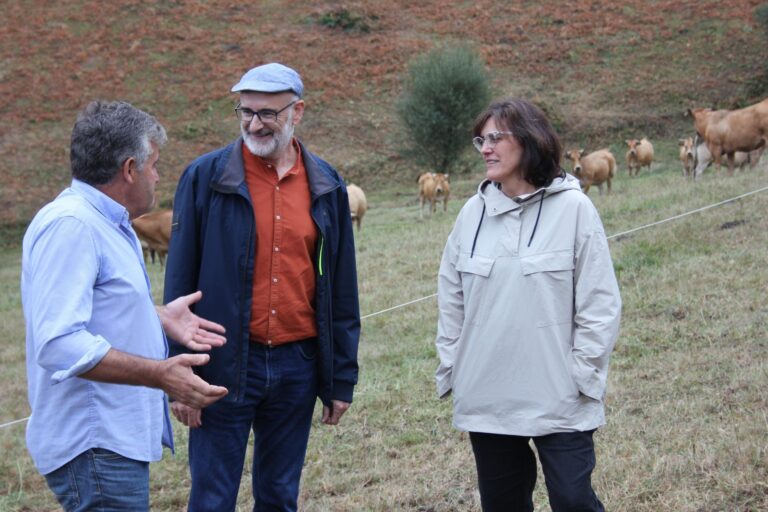 Rural.- El BNG solicita «ayudas urgentes» e información para combatir la Enfermedad Hemorrágica Epizoótica