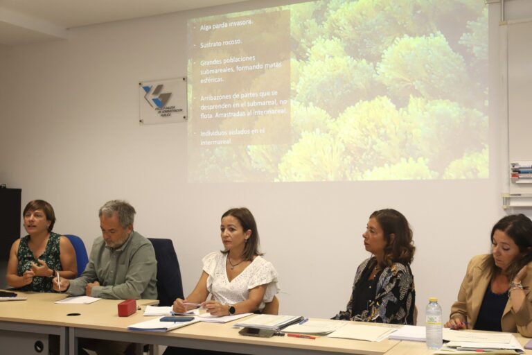 Galicia elabora un plan para fijar protocolo de actuación ante la posible aparición de una alga exótica invasora