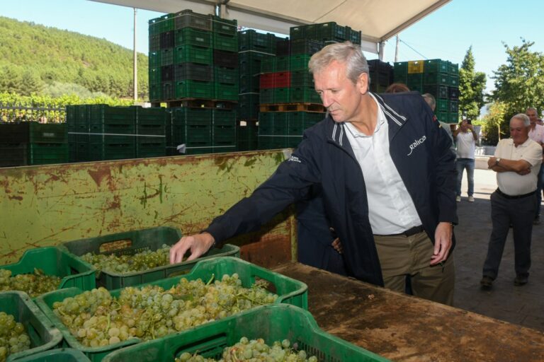 Rueda destaca las buenas previsiones de la vendimia en la DO Monterrei, que prevé más de 7 millones de kilos