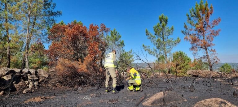 Identificado el autor de varios incendios forestales en Ponte Sampaio (Pontevedra)