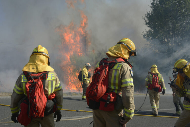 Activo otro incendio en A Gudiña (Ourense) que calcina 20 hectáreas