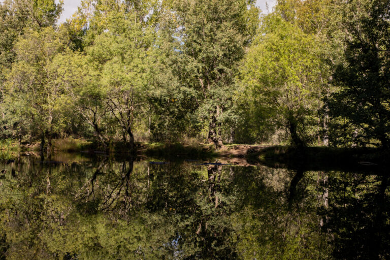 Galicia tendrá un otoño «más cálido y seco de lo normal», con tiempo «estable» los próximos días