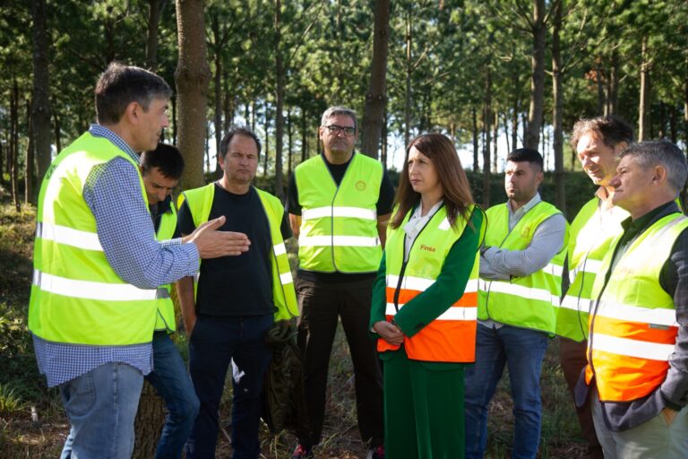 Rural.- Medio Rural apuesta por el sector forestal con ayudas para «plantaciones de calidad» y acciones silvícolas