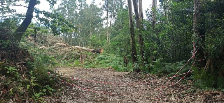 Ecologistas denuncian el eje de movilidad entre O Milladoiro y Santiago al ser una vía de hormigón a la orilla del Sar