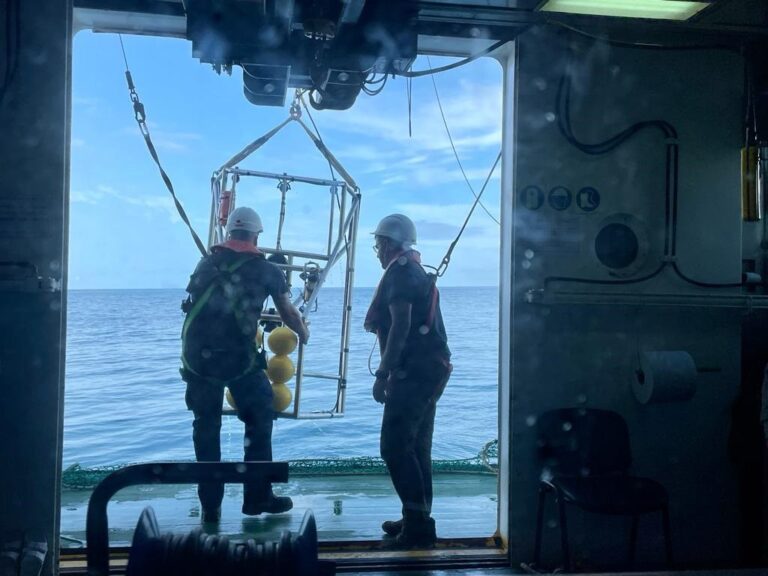 Pesca.- El IEO estimará la abundancia de cigala en Galicia a través de la toma de imágenes submarinas y muestreos