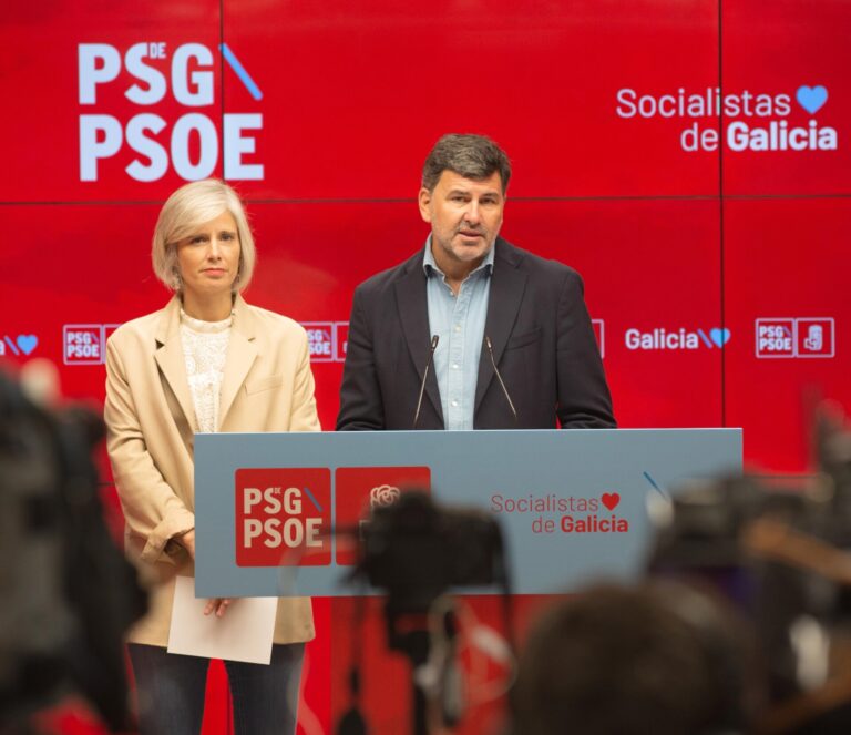 El PSdeG exige a la Xunta una planificación «seria» para garantizar el despliegue de las renovables en Galicia